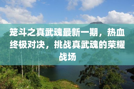 籠斗之真武魂最新一期，熱血終極對(duì)決，挑戰(zhàn)真武魂的榮耀戰(zhàn)場(chǎng)