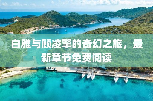 白雅與顧凌擎的奇幻之旅，最新章節(jié)免費(fèi)閱讀