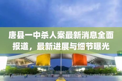 唐縣一中殺人案最新消息全面報道，最新進展與細節(jié)曝光