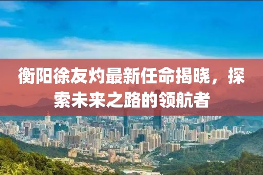 衡陽徐友灼最新任命揭曉，探索未來之路的領(lǐng)航者