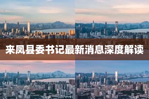 來鳳縣委書記最新消息深度解讀