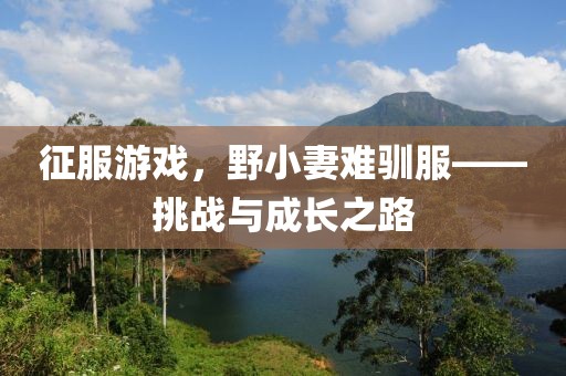 征服游戲，野小妻難馴服——挑戰(zhàn)與成長之路