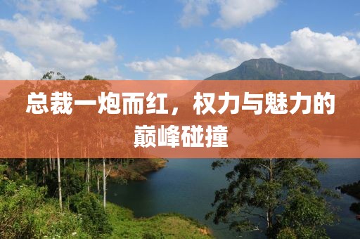 總裁一炮而紅，權(quán)力與魅力的巔峰碰撞