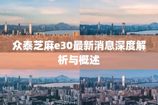 眾泰芝麻e30最新消息深度解析與概述