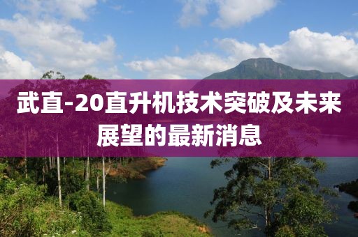 武直-20直升機技術(shù)突破及未來展望的最新消息
