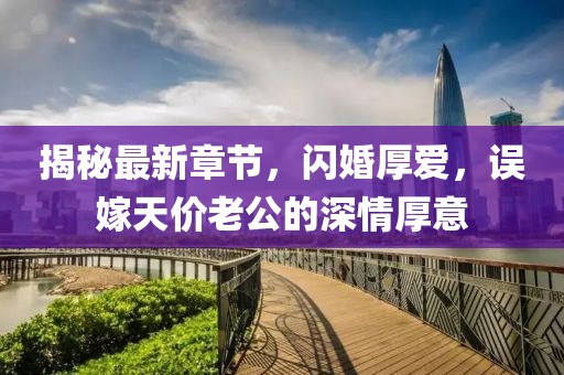 揭秘最新章節(jié)，閃婚厚愛，誤嫁天價(jià)老公的深情厚意