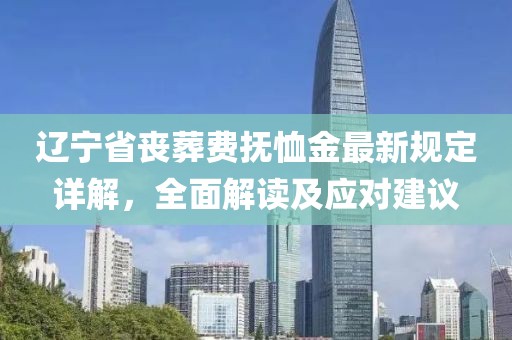 遼寧省喪葬費(fèi)撫恤金最新規(guī)定詳解，全面解讀及應(yīng)對(duì)建議