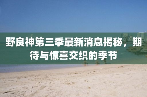 野良神第三季最新消息揭秘，期待與驚喜交織的季節(jié)