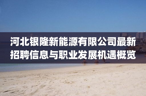 河北銀隆新能源有限公司最新招聘信息與職業(yè)發(fā)展機遇概覽