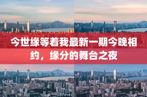 今世緣等著我最新一期今晚相約，緣分的舞臺(tái)之夜