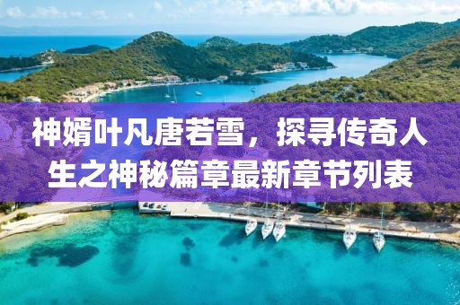 神婿葉凡唐若雪，探尋傳奇人生之神秘篇章最新章節(jié)列表