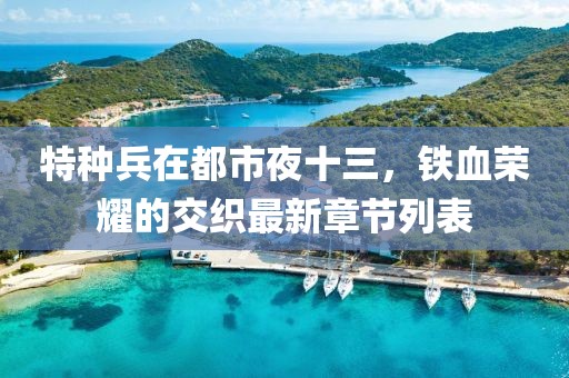 特種兵在都市夜十三，鐵血榮耀的交織最新章節(jié)列表