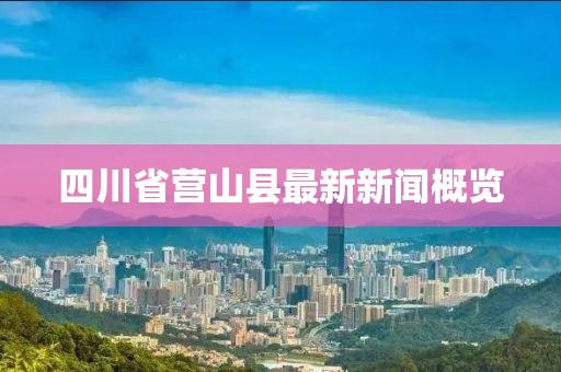 四川省營山縣最新新聞概覽