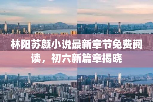 林陽蘇顏小說最新章節(jié)免費閱讀，初六新篇章揭曉