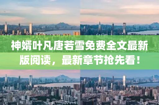 神婿葉凡唐若雪免費(fèi)全文最新版閱讀，最新章節(jié)搶先看！