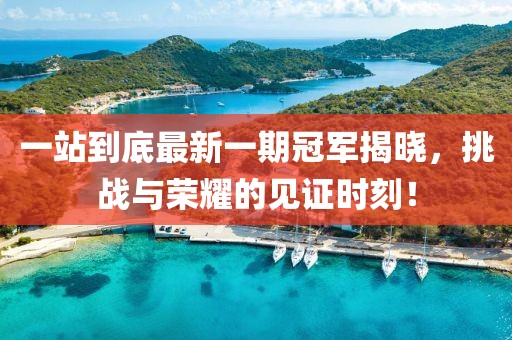 一站到底最新一期冠軍揭曉，挑戰(zhàn)與榮耀的見(jiàn)證時(shí)刻！