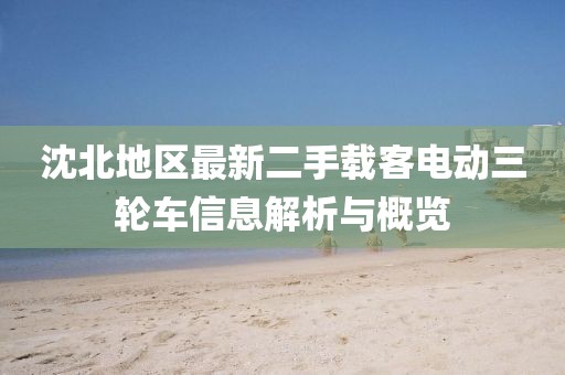 沈北地區(qū)最新二手載客電動(dòng)三輪車(chē)信息解析與概覽