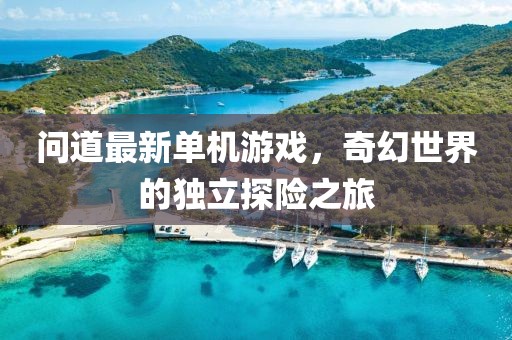 問(wèn)道最新單機(jī)游戲，奇幻世界的獨(dú)立探險(xiǎn)之旅
