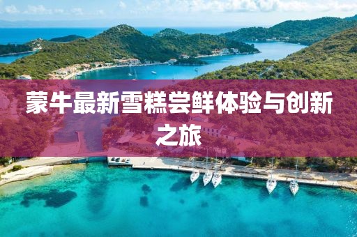 蒙牛最新雪糕嘗鮮體驗與創(chuàng)新之旅