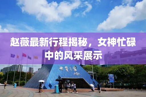 趙薇最新行程揭秘，女神忙碌中的風采展示