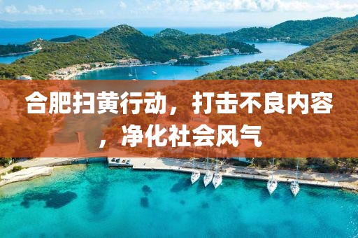 合肥掃黃行動(dòng)，打擊不良內(nèi)容，凈化社會(huì)風(fēng)氣