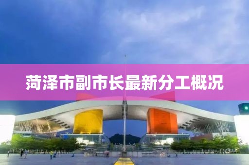 菏澤市副市長最新分工概況