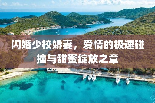 閃婚少校嬌妻，愛(ài)情的極速碰撞與甜蜜綻放之章