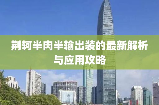 荊軻半肉半輸出裝的最新解析與應(yīng)用攻略