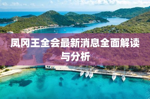 鳳岡王全會(huì)最新消息全面解讀與分析
