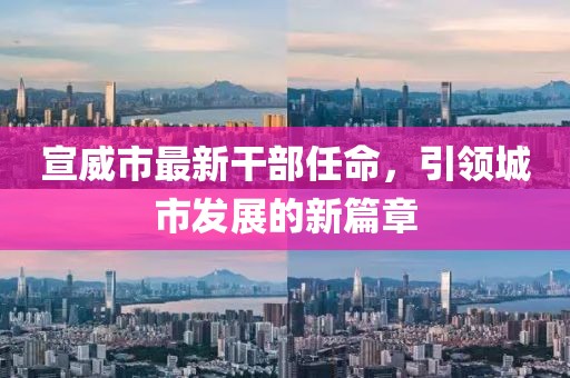 宣威市最新干部任命，引領城市發(fā)展的新篇章