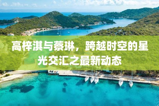 高梓淇與蔡琳，跨越時(shí)空的星光交匯之最新動(dòng)態(tài)