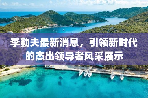 李勤夫最新消息，引領(lǐng)新時(shí)代的杰出領(lǐng)導(dǎo)者風(fēng)采展示