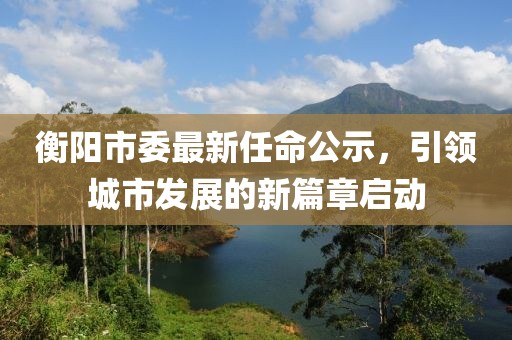 衡陽市委最新任命公示，引領(lǐng)城市發(fā)展的新篇章啟動