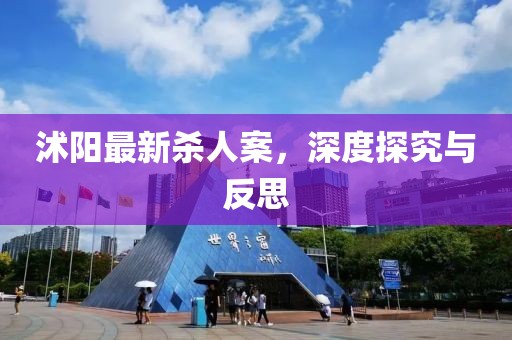 沭陽(yáng)最新殺人案，深度探究與反思
