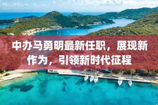 中辦馬勇明最新任職，展現(xiàn)新作為，引領(lǐng)新時代征程