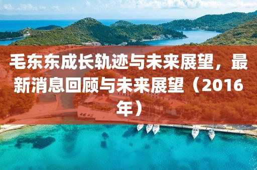 毛東東成長(zhǎng)軌跡與未來(lái)展望，最新消息回顧與未來(lái)展望（2016年）