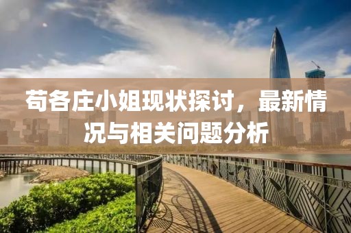 茍各莊小姐現(xiàn)狀探討，最新情況與相關(guān)問題分析