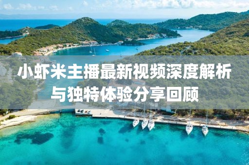 小蝦米主播最新視頻深度解析與獨特體驗分享回顧