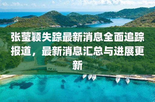 張瑩穎失蹤最新消息全面追蹤報道，最新消息匯總與進展更新