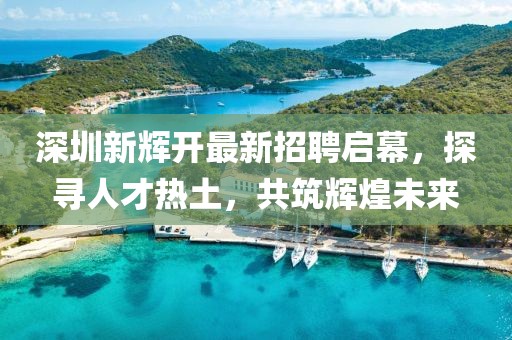 深圳新輝開最新招聘啟幕，探尋人才熱土，共筑輝煌未來