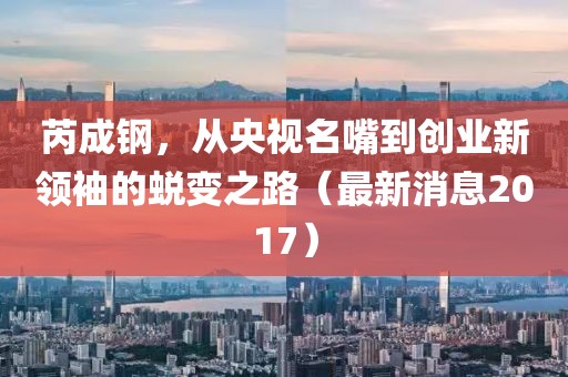 芮成鋼，從央視名嘴到創(chuàng)業(yè)新領(lǐng)袖的蛻變之路（最新消息2017）