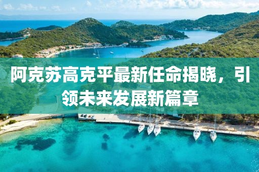 阿克蘇高克平最新任命揭曉，引領(lǐng)未來發(fā)展新篇章