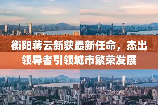 衡陽蔣云新獲最新任命，杰出領(lǐng)導(dǎo)者引領(lǐng)城市繁榮發(fā)展