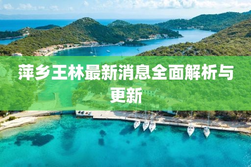 萍鄉(xiāng)王林最新消息全面解析與更新