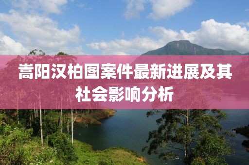 嵩陽漢柏圖案件最新進(jìn)展及其社會(huì)影響分析