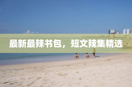 最新最辣書(shū)包，短文辣集精選