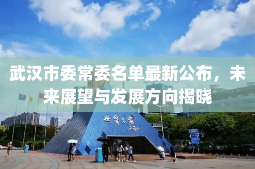 武漢市委常委名單最新公布，未來展望與發(fā)展方向揭曉