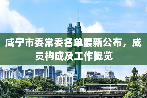 咸寧市委常委名單最新公布，成員構(gòu)成及工作概覽