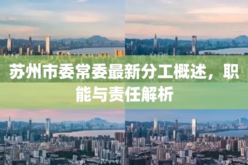 蘇州市委常委最新分工概述，職能與責任解析