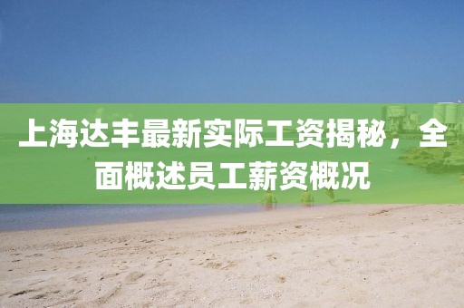 上海達(dá)豐最新實(shí)際工資揭秘，全面概述員工薪資概況